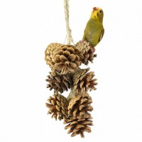 back-zoo-nature-pine-cone-garland