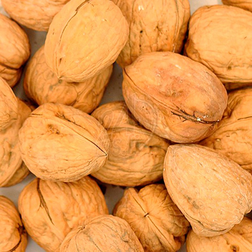 walnuts